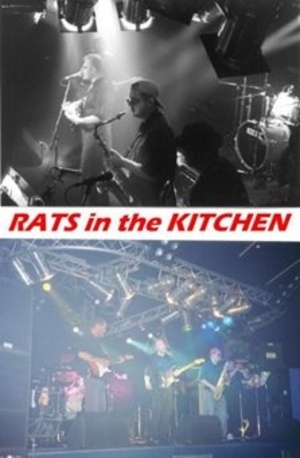 Rats In The Kitchen