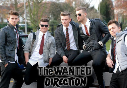 The Wanted Direction