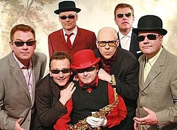 Madness Live 80's Original Band Available Through BCM Entertainments Ltd